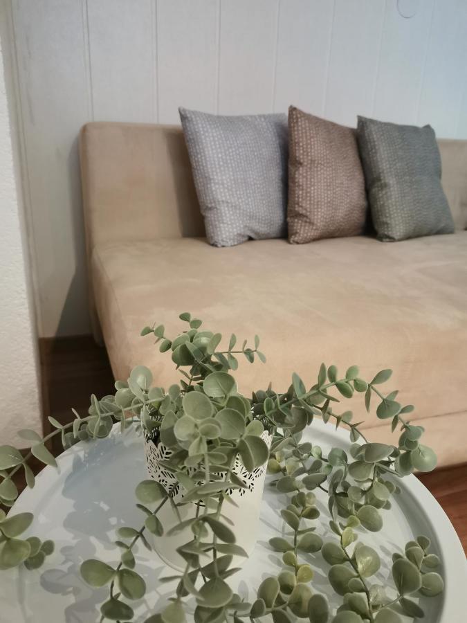 Riverside Appartements Lieserbrucke Ngoại thất bức ảnh